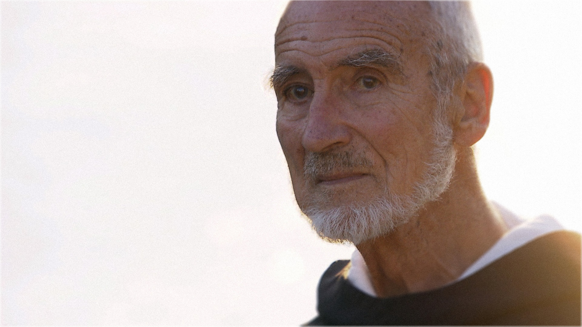 Portrait von Bruder David Steindl-Rast.